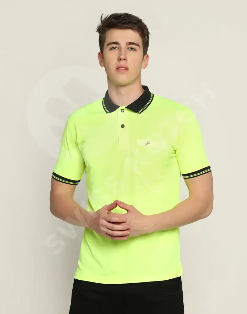 polo t-shirt 2